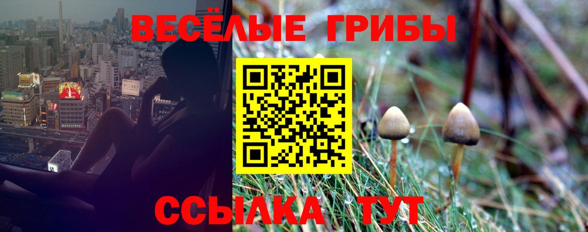 Шелехов  Псилоцибиновые грибы ЛСД  Вход с VPN 